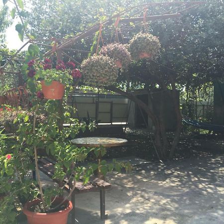 Guesthouse Milena Leselidze ภายนอก รูปภาพ