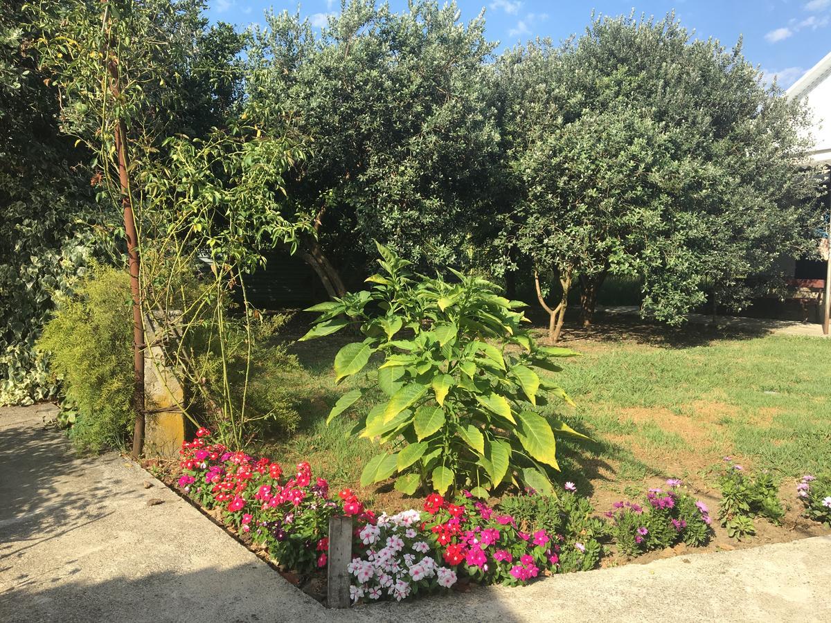 Guesthouse Milena Leselidze ภายนอก รูปภาพ