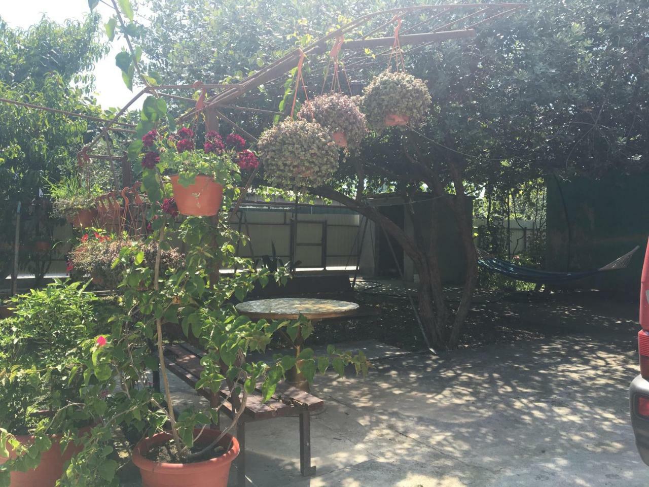 Guesthouse Milena Leselidze ภายนอก รูปภาพ